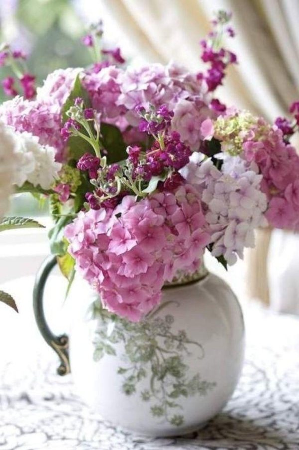 гортензия прованс