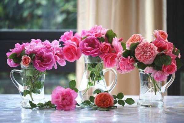 утренние цветы