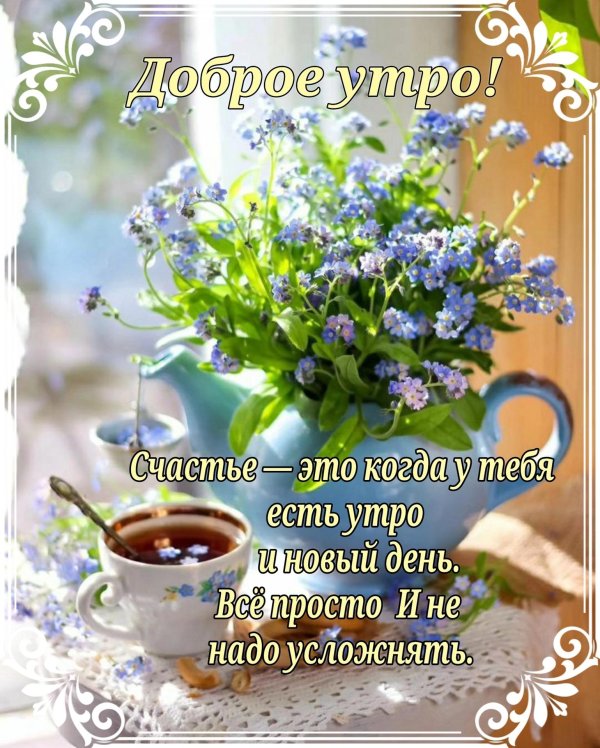 доброе утро незабудки