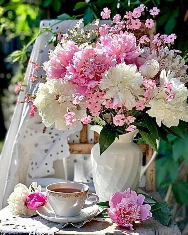 доброго дня пионы