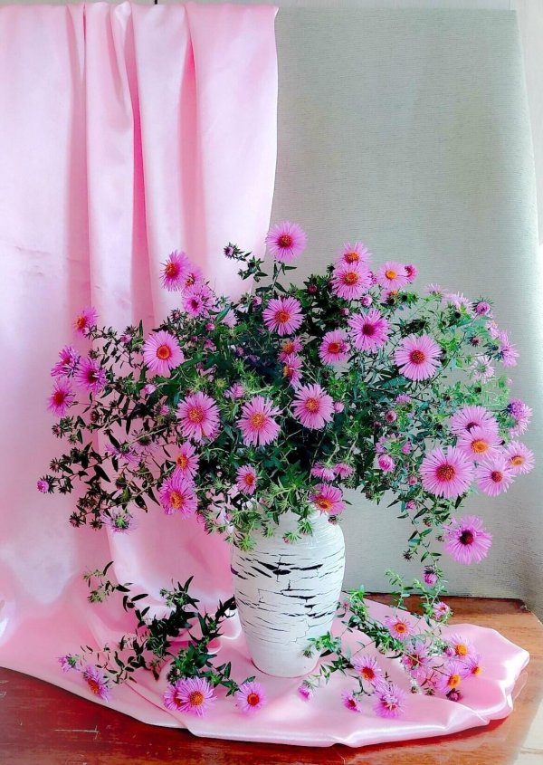 сентябринки октябринки