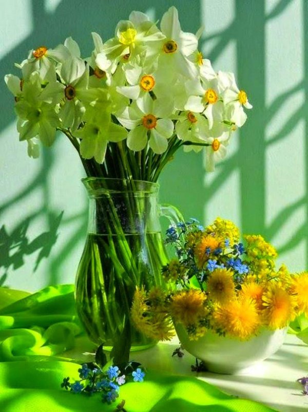 цветок нарцисс