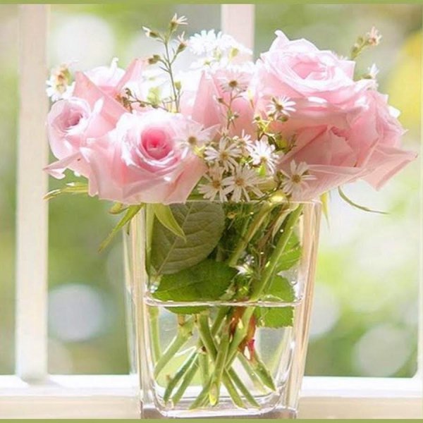 нежный цветок