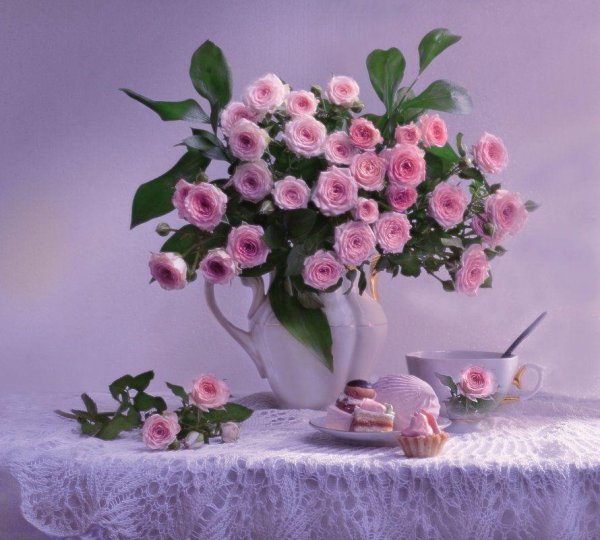 валентина колова натюрморты