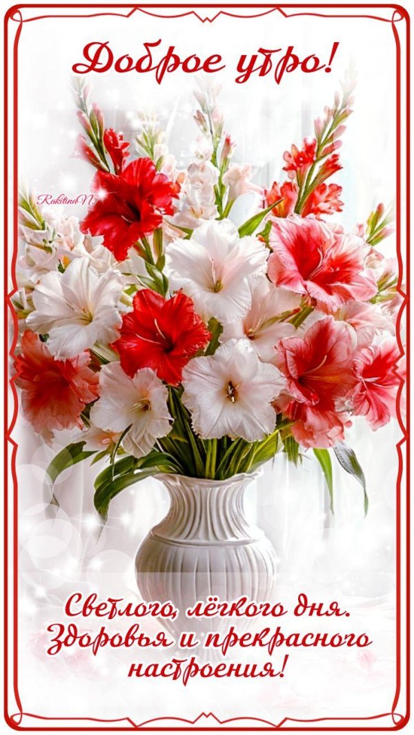 красивые гладиолусы