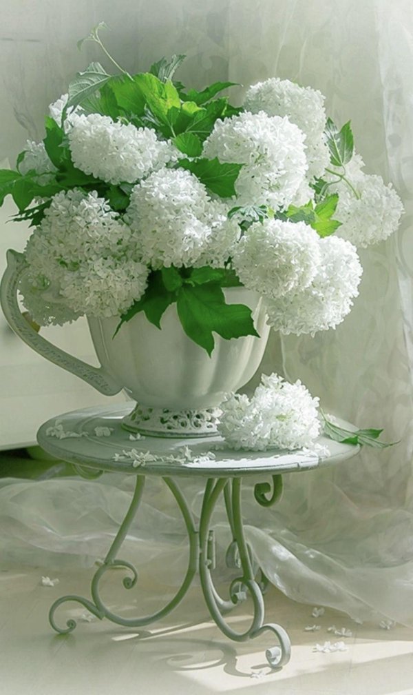 фотонатюрморты ольги лукиной