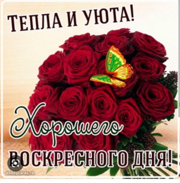 хорошего воскресного дня