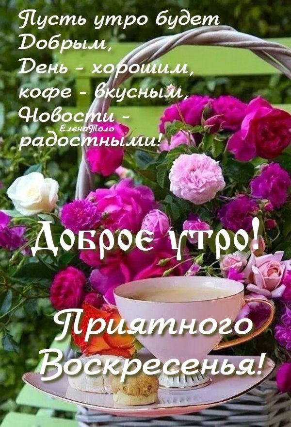 удачного воскресного дня