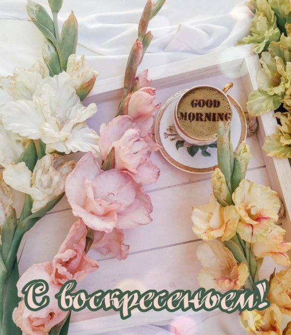 добрейшего воскресенья