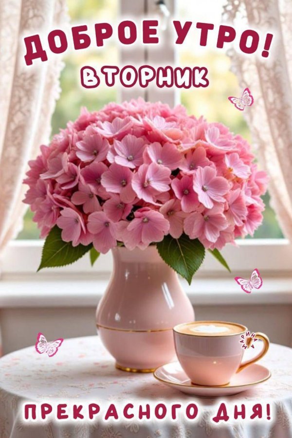 доброе утро летнего вторника