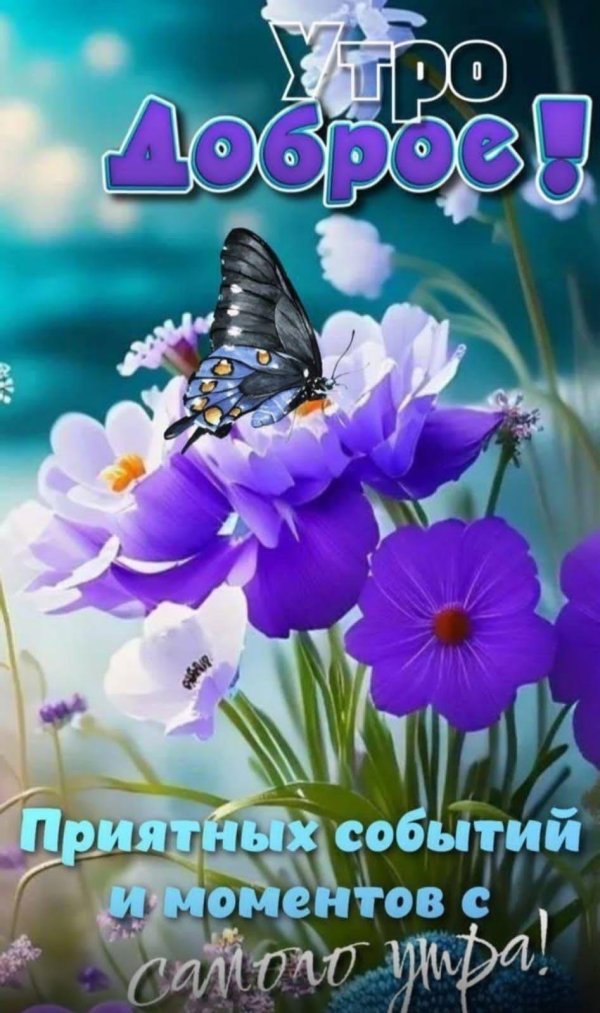 добра утра
