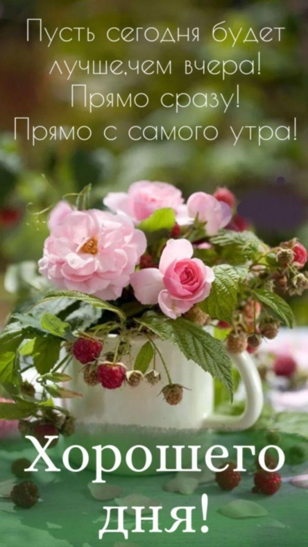 прекрасного утра