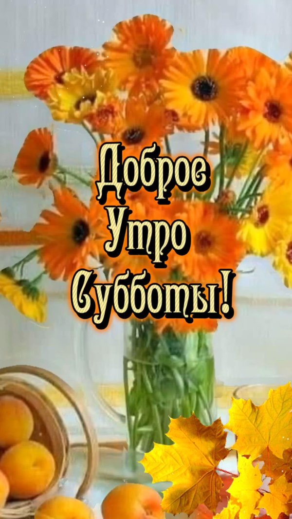 утро суббота