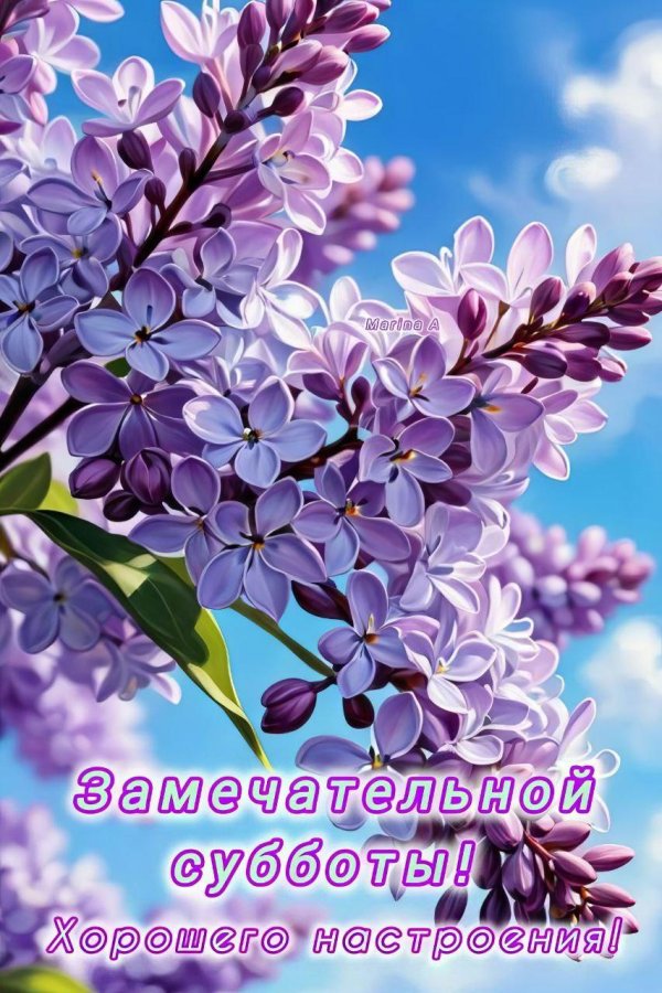 замечательной субботы