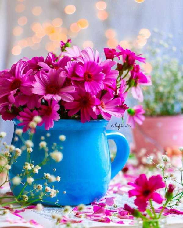 светлого утра