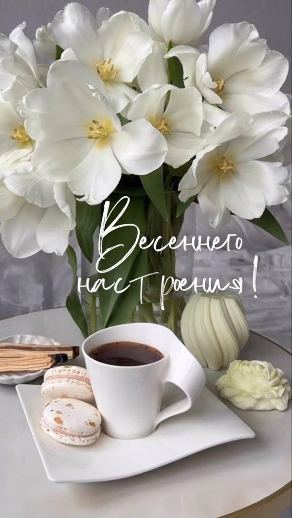 добра утра