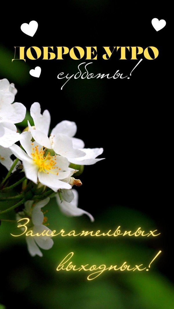 доброго утра весна