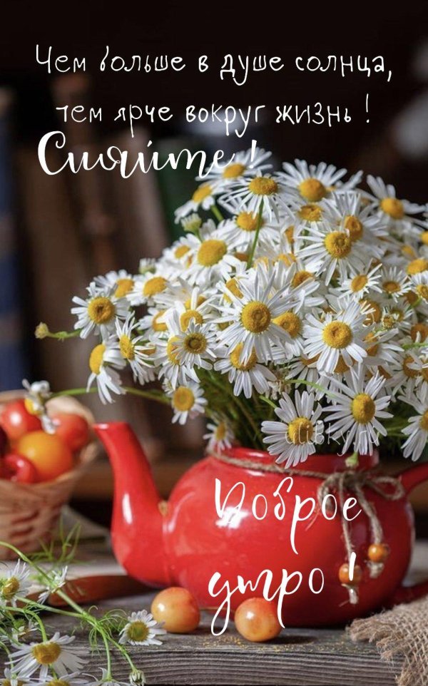 доброго утра ромашки