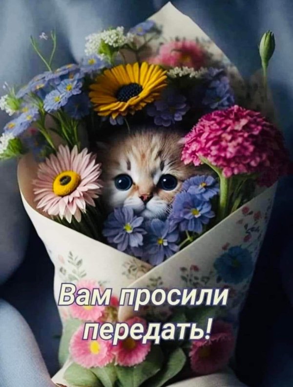 открытки вам просили передать