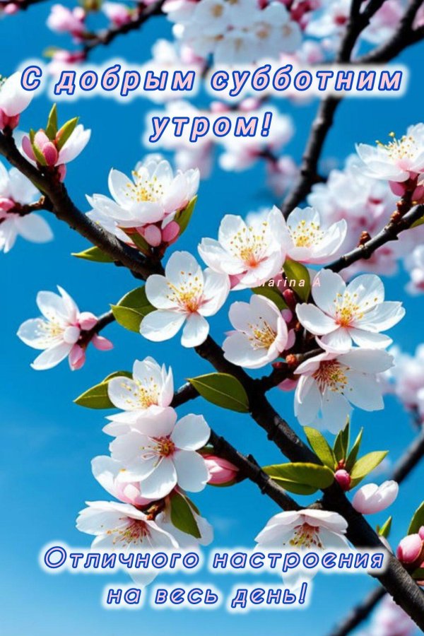 весна доброе утро