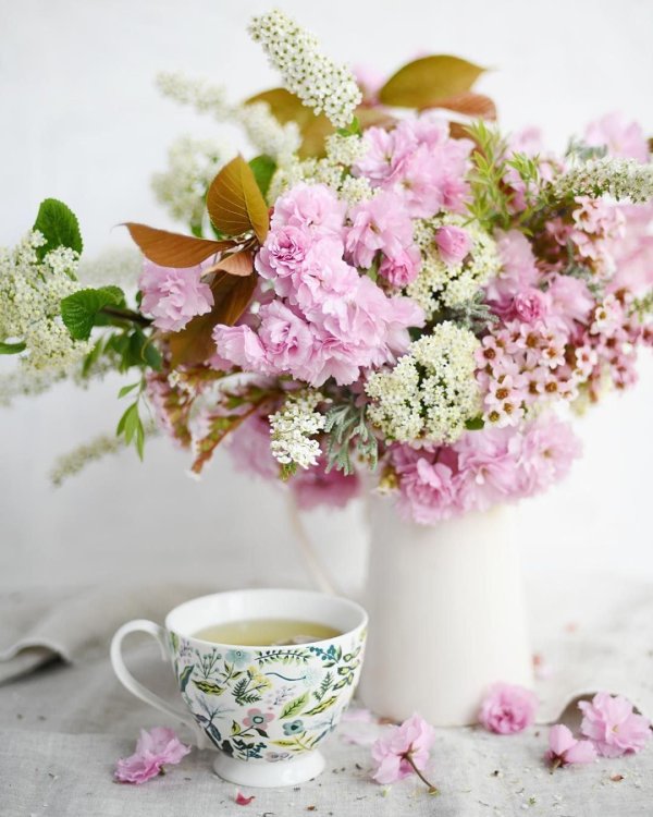 нежного утречка