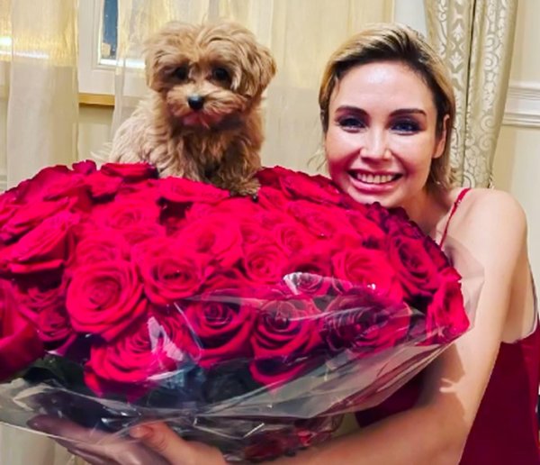 собака павла воли