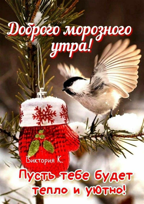 зимнего утра