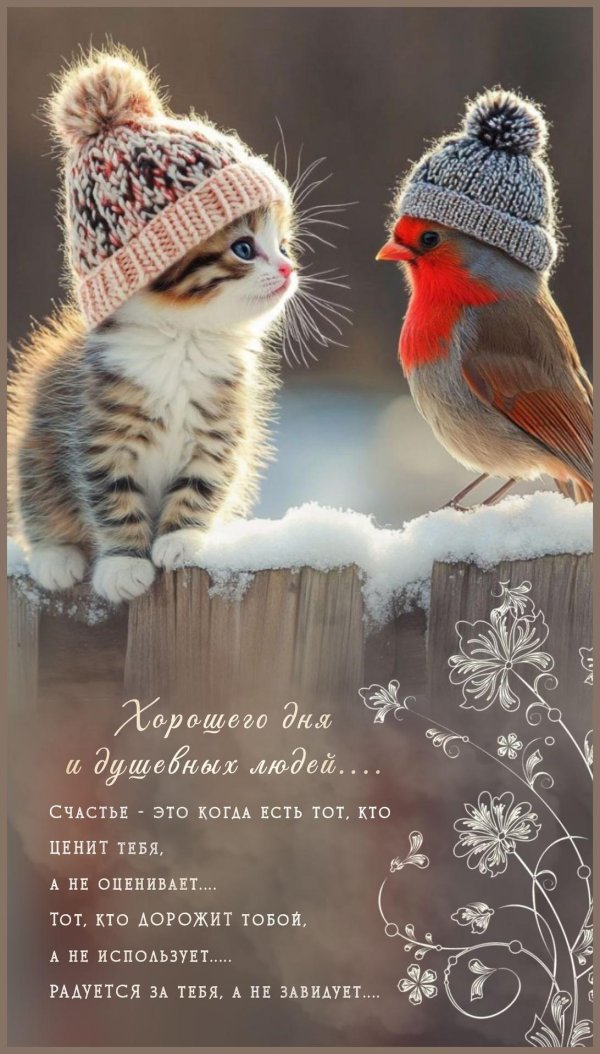 зимнего утра доброго