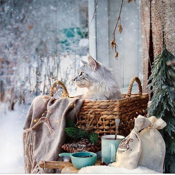 уютная зима