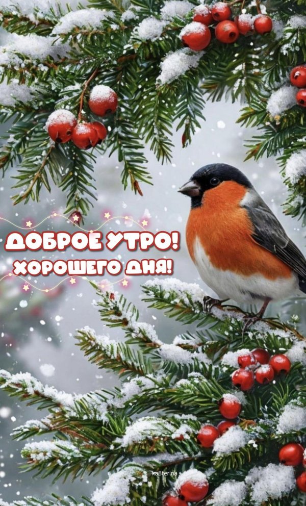 снегири на ветках