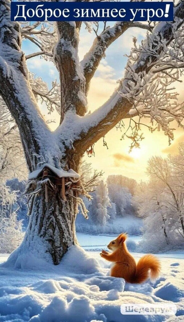 зимнего утра