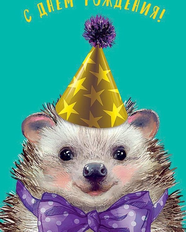 ежик с днем рождения