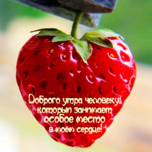 доброе утро ягодка