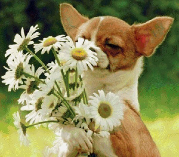 для счастья