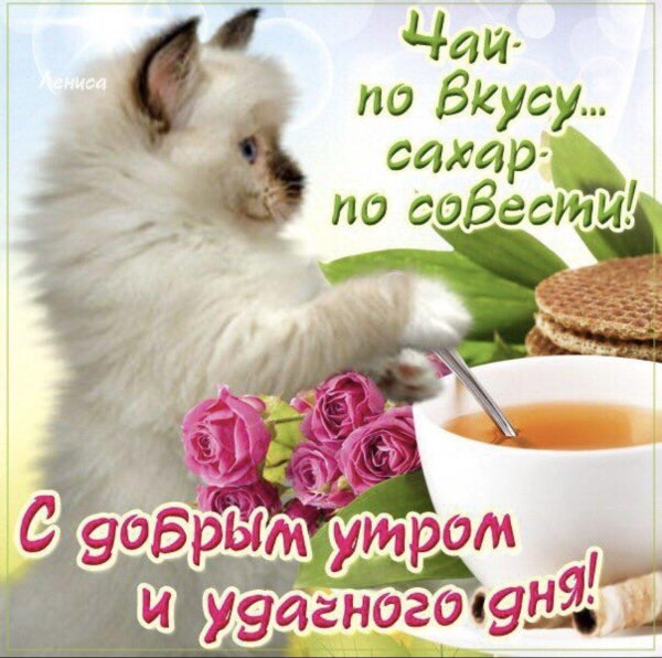 доброе утро и отличного настроения