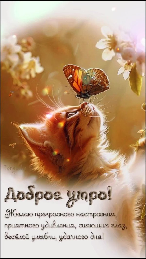 утренняя открытка