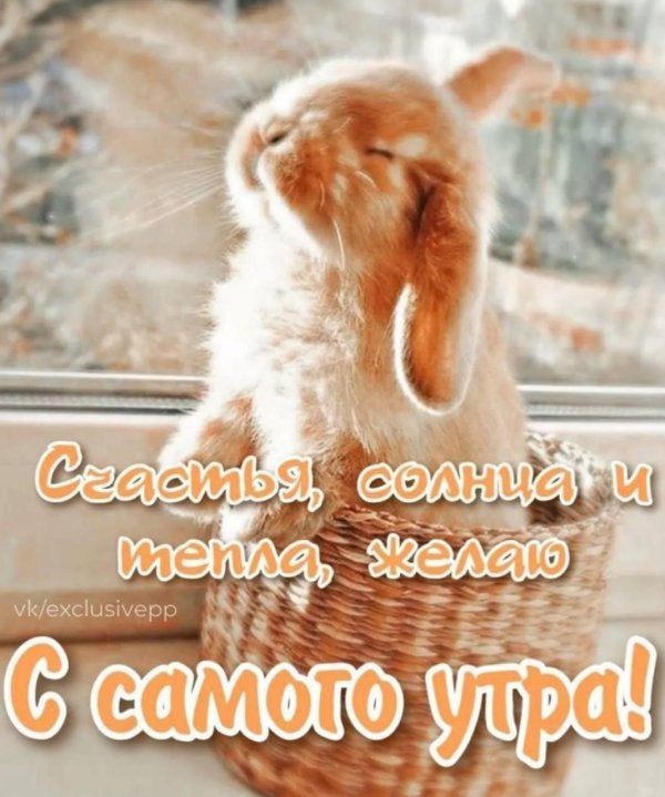 добрейшего утречка