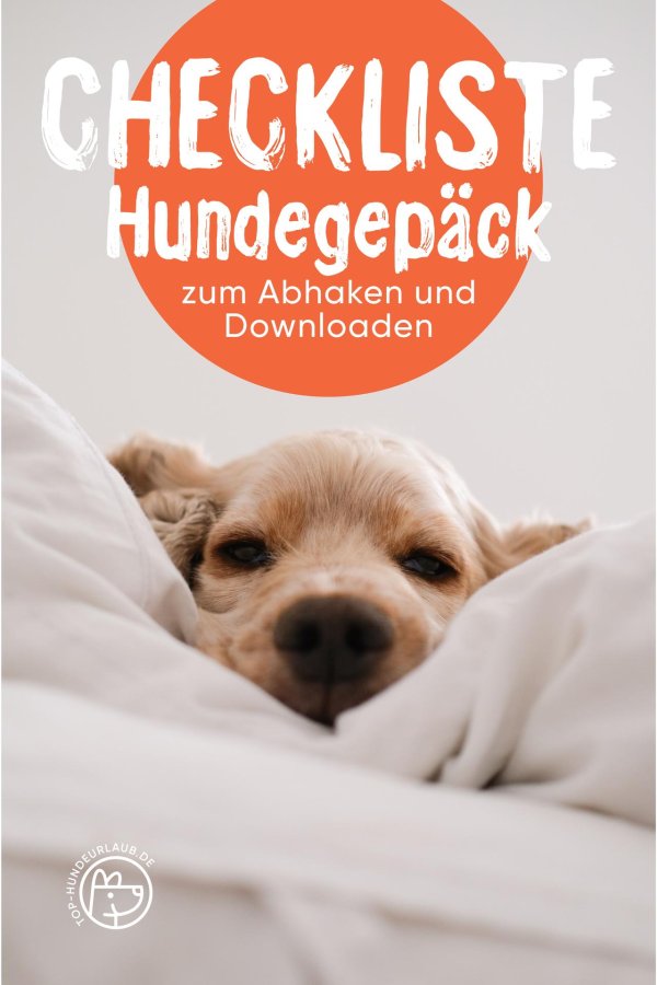 спаниель кокер