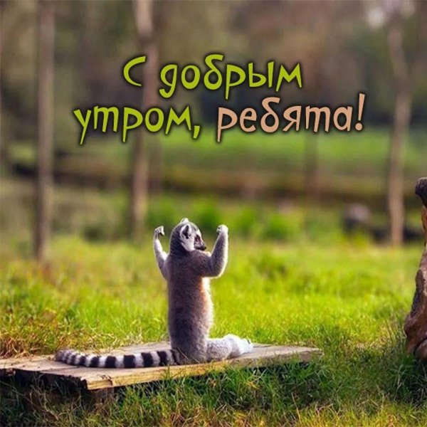 доброго бодрого утра прикольные