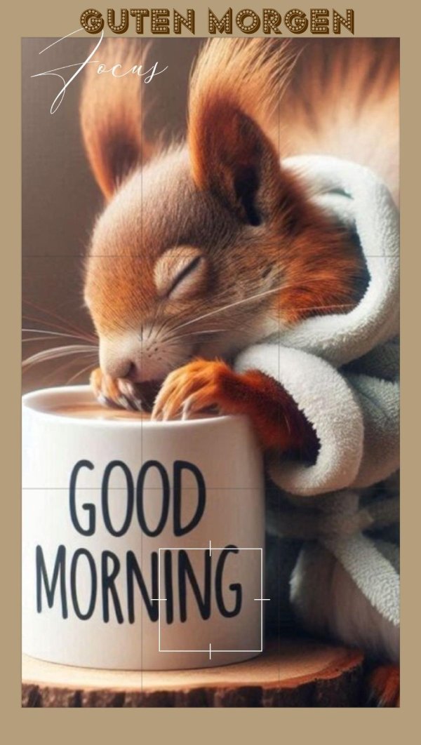 смешная белка