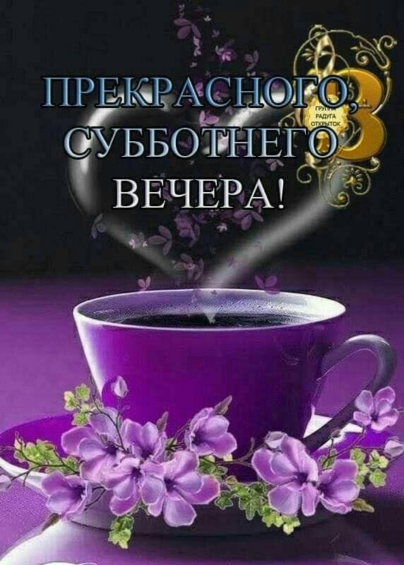 добр вечер