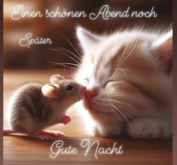 кошка мышка