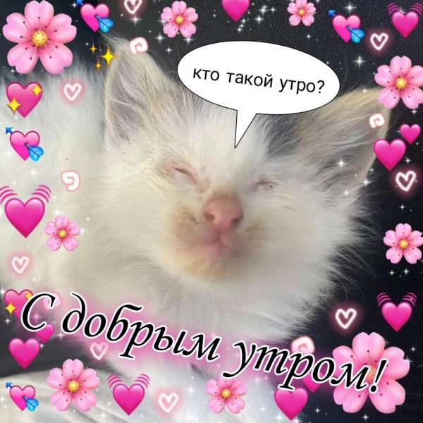 доброго утра милая