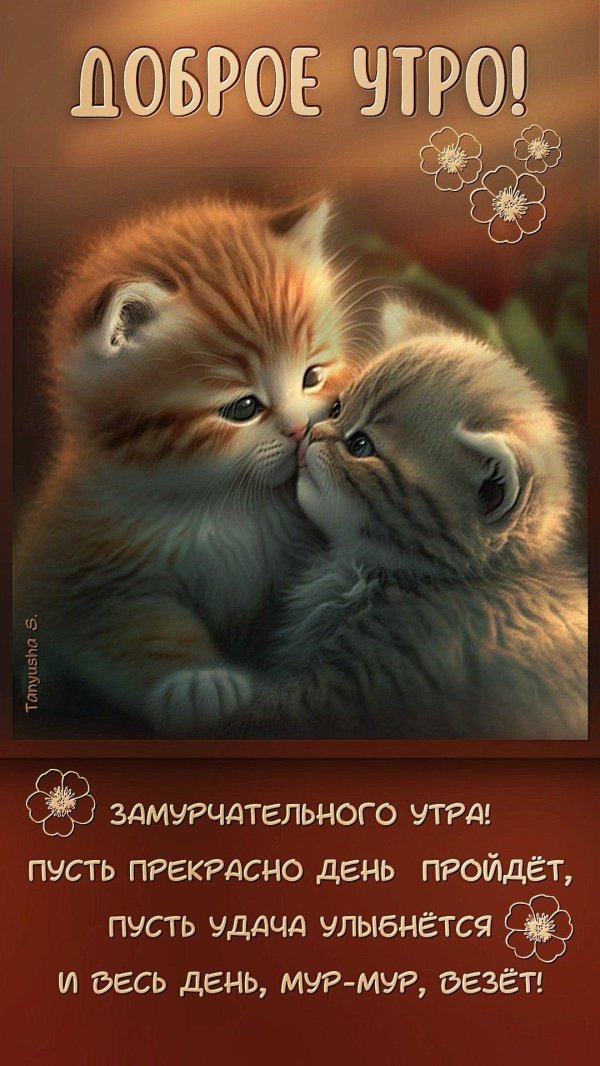 очаровательные котята