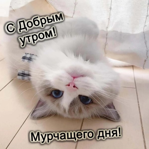 утренний позитив