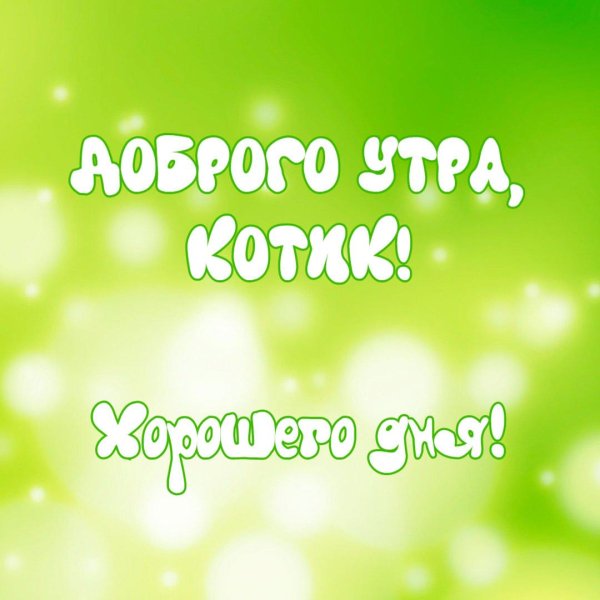 доброго утра котик