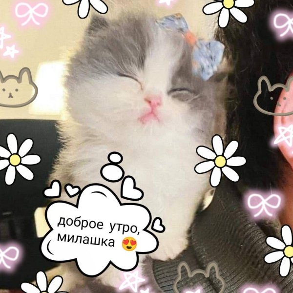 доброе утро анюта