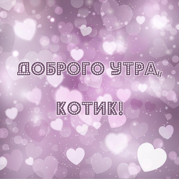 доброеиутро котики ложкина