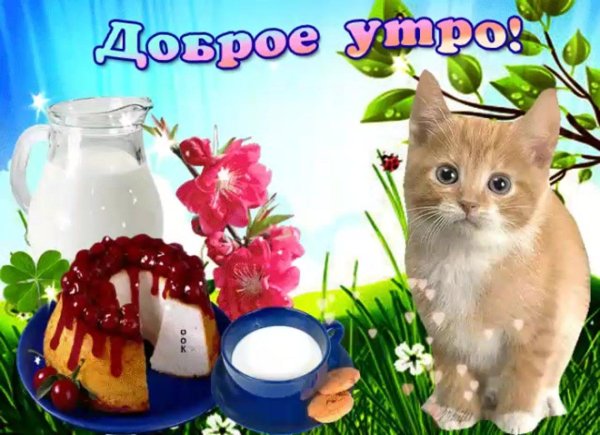 красивая открытка доброе утро