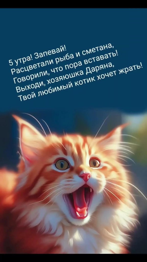 добрые котики